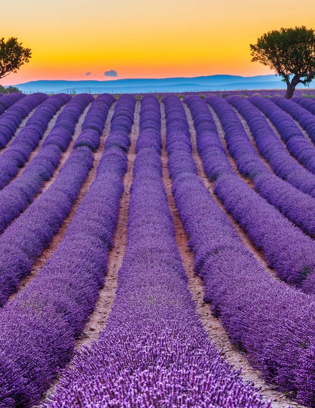 Francia
