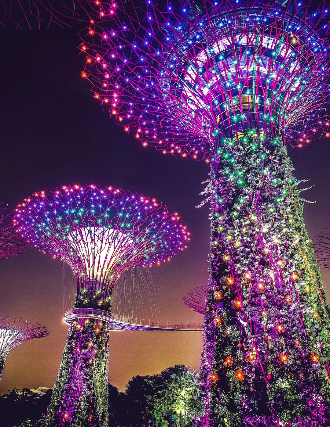 Viaje organizado a Singapur