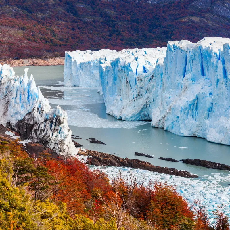 Viaje organizado a Argentina