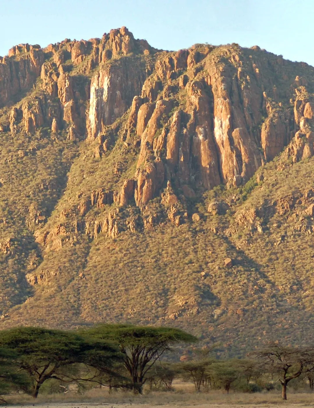 Viaje organizado a Kenia