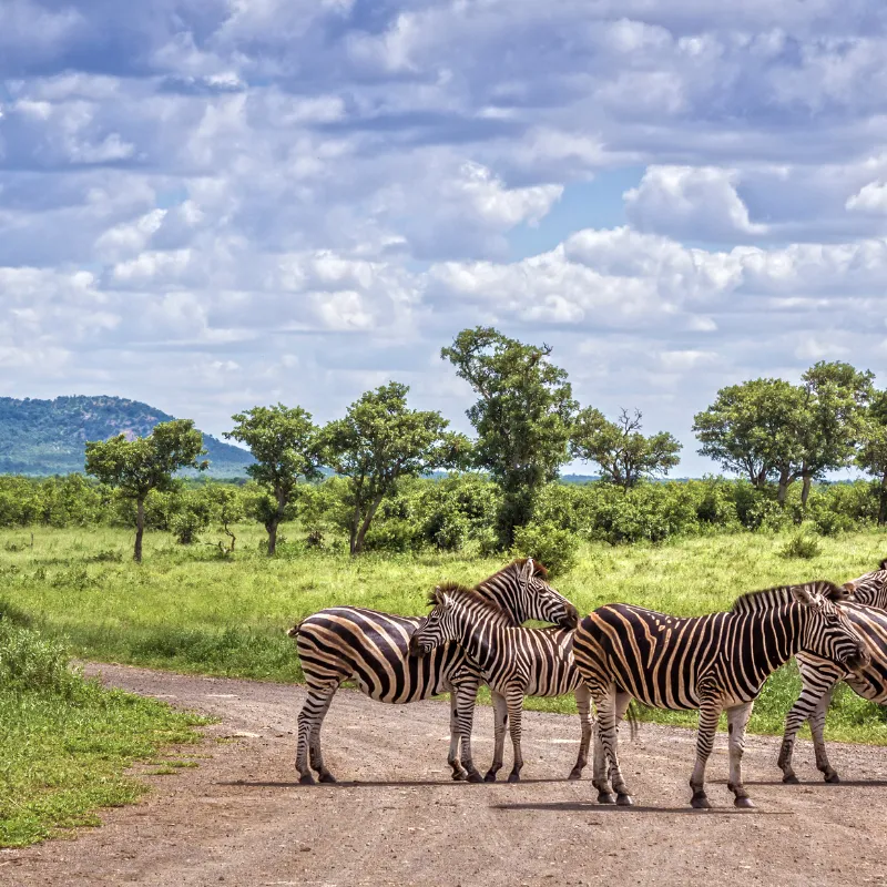 Viaje organizado a Sudáfrica