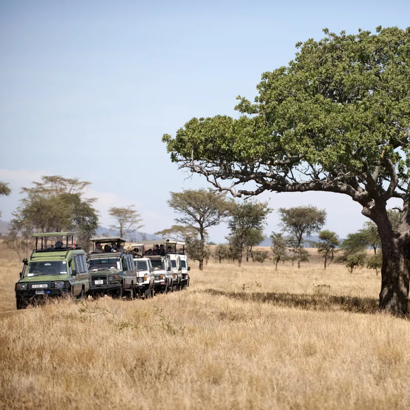 Viaje organizado a Tanzania
